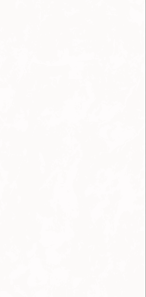 1078 L (1)