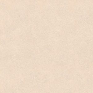 BC-213-1-25S1-Photoroom