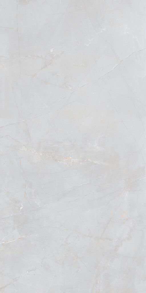 Pulpis Gray_4